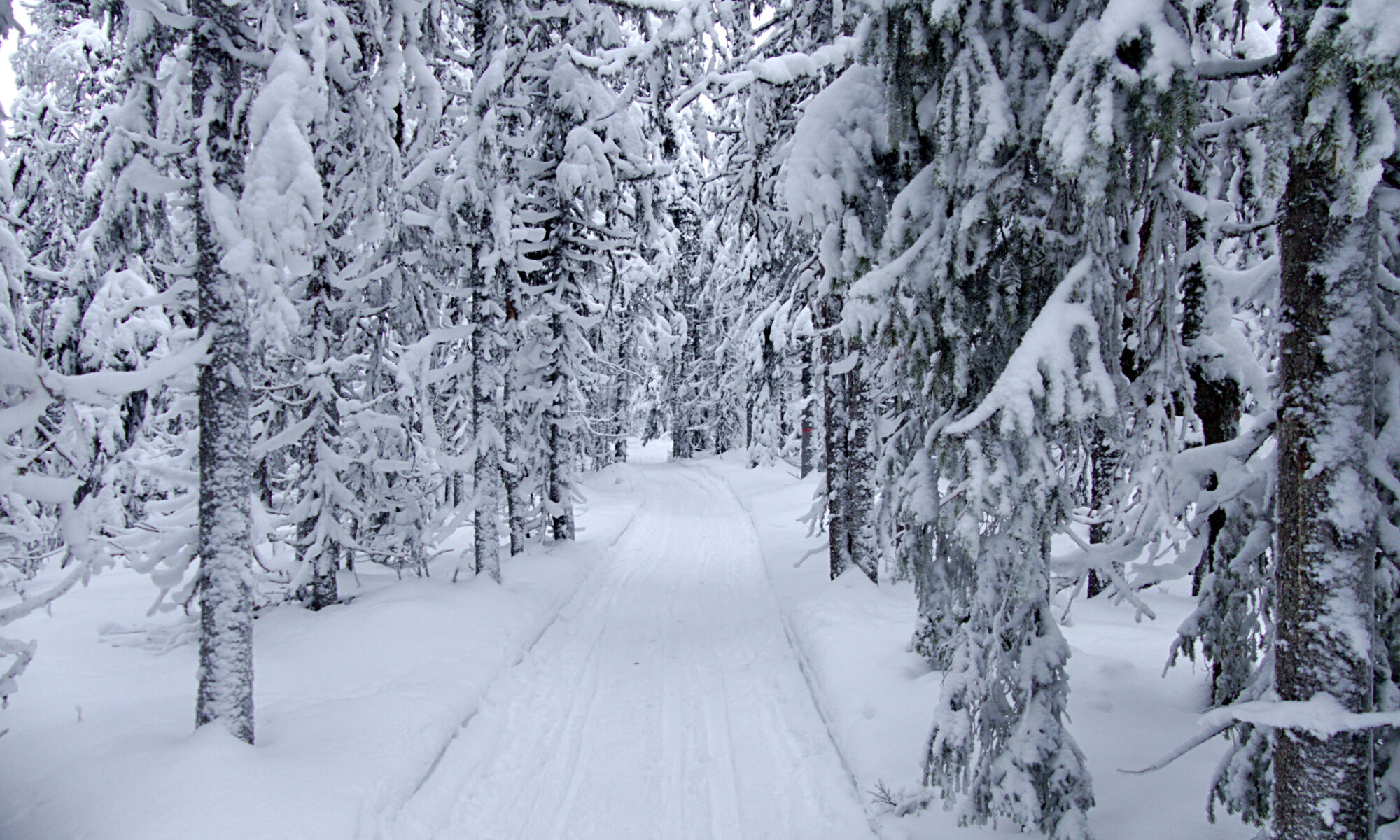 Koppången nature reserve